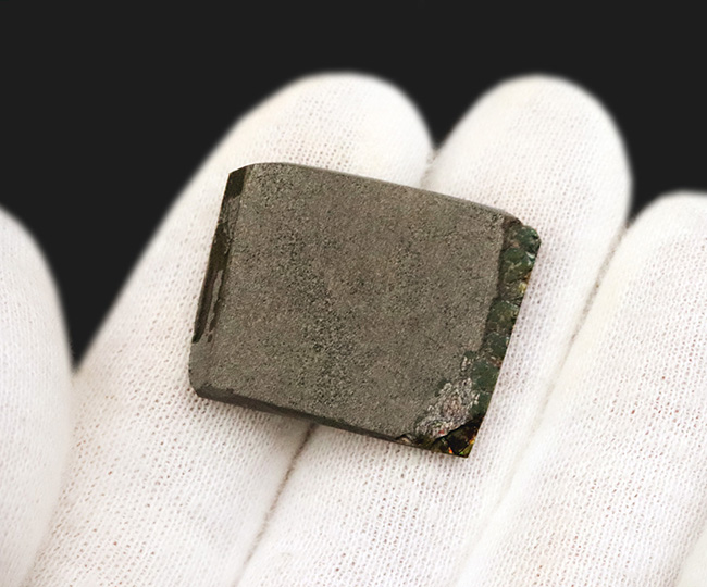 化石でありながら宝石でもある希有な存在、カナダ・アルバータ州の大地が産んだ美しき宝石、アンモライト(Ammolite)のピース(その5)