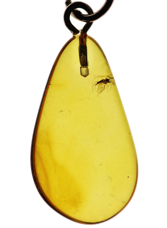 虫入り！クリアーなレモンイエローが美しいバルト海産琥珀（Amber）を使ったペンダントトップ（シルバーチェーン、高級ジュエリーケース付き。）（その1）