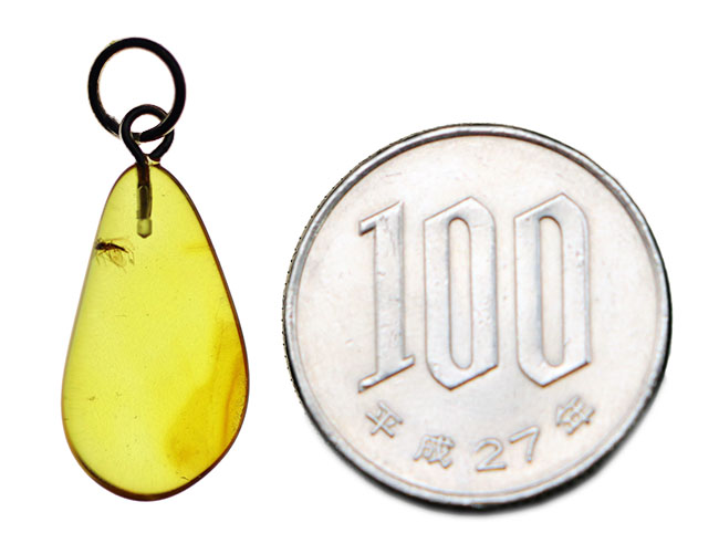 虫入り!クリアーなレモンイエローが美しいバルト海産琥珀(Amber)を使ったペンダントトップ(シルバーチェーン、高級ジュエリーケース付き。)(その6)