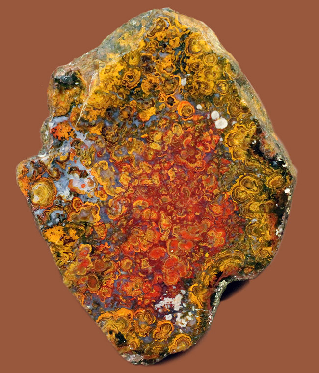 人気のストロマトライトを含んだハンガリー産の朱いメノウ(Agate)(その1)