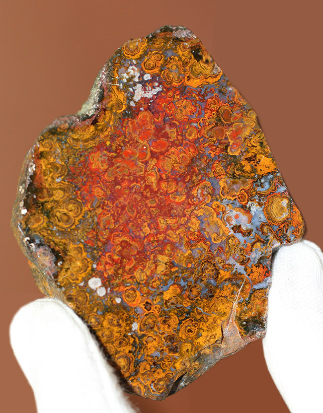 人気のストロマトライトを含んだハンガリー産の朱いメノウ(Agate)(その2)