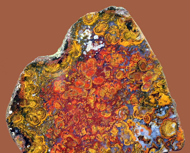 人気のストロマトライトを含んだハンガリー産の朱いメノウ(Agate)(その3)