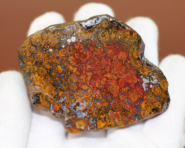人気のストロマトライトを含んだハンガリー産の朱いメノウ(Agate)(その4)