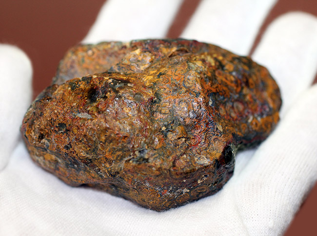 人気のストロマトライトを含んだハンガリー産の朱いメノウ(Agate)(その6)