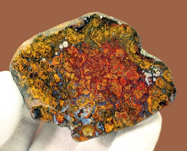 人気のストロマトライトを含んだハンガリー産の朱いメノウ(Agate)(その7)