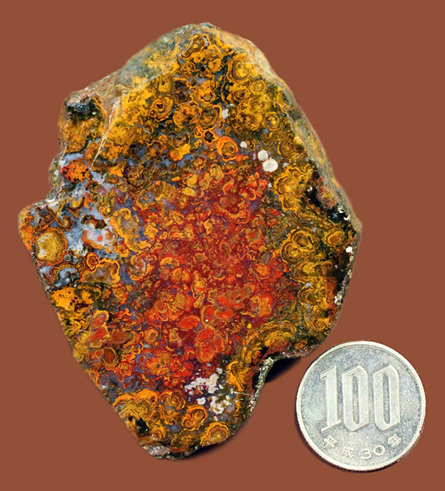 人気のストロマトライトを含んだハンガリー産の朱いメノウ(Agate)(その9)