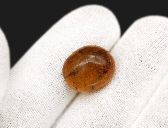 多数の内包物、気泡を含んだ約1億年前に起原を持つとされる古き琥珀、バーマイト(Burmite)(その8)