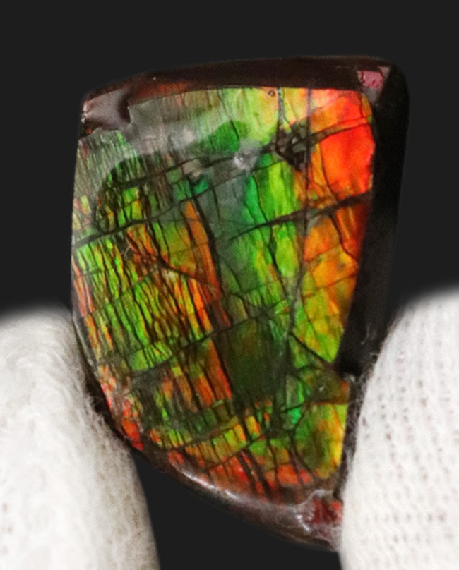 極めて美しい遊色を持つ、宝石アンモライト(Ammolite)を使ったピンブローチ(その2)