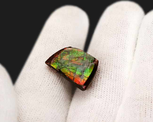 極めて美しい遊色を持つ、宝石アンモライト(Ammolite)を使ったピンブローチ(その3)