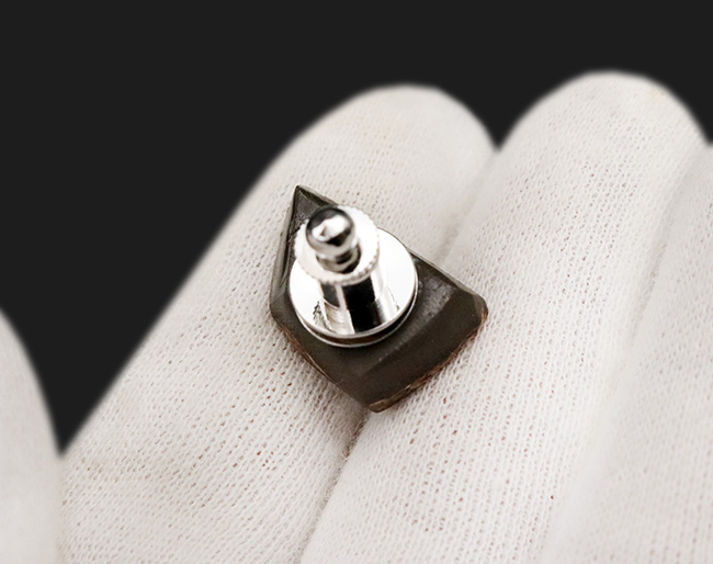極めて美しい遊色を持つ、宝石アンモライト(Ammolite)を使ったピンブローチ(その4)