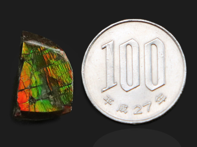 極めて美しい遊色を持つ、宝石アンモライト(Ammolite)を使ったピンブローチ(その6)