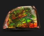 極めて美しい遊色を持つ、宝石アンモライト（Ammolite）を使ったピンブローチ