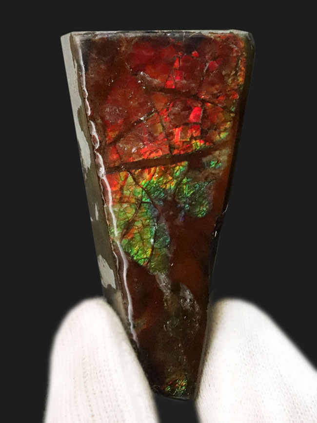 素晴らしいプレイオブカラーが楽しめる、化石と宝石の狭間に生まれた希少鉱物 … アンモライト（Ammolite）（その1）