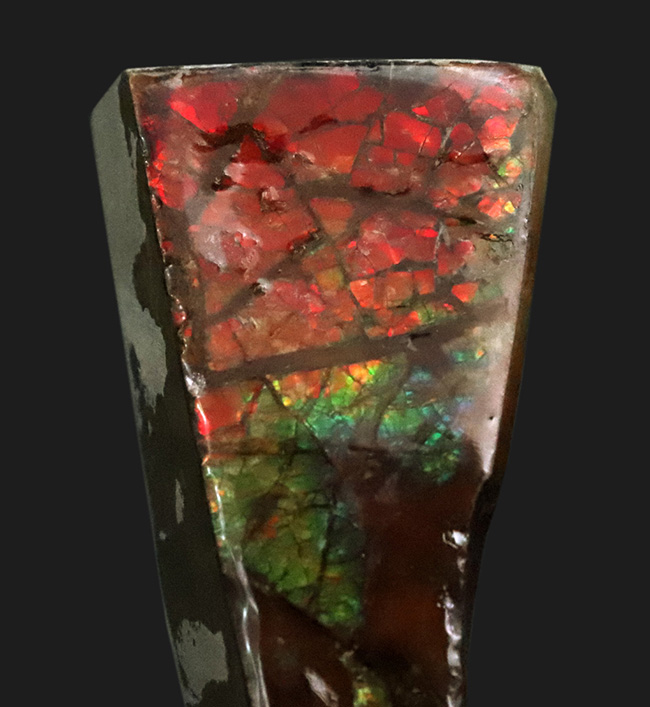 素晴らしいプレイオブカラーが楽しめる、化石と宝石の狭間に生まれた希少鉱物 … アンモライト（Ammolite）（その2）