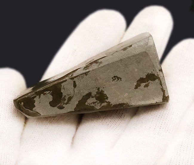 素晴らしいプレイオブカラーが楽しめる、化石と宝石の狭間に生まれた希少鉱物 … アンモライト（Ammolite）（その4）