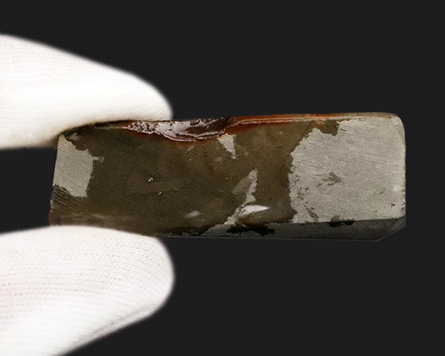 素晴らしいプレイオブカラーが楽しめる、化石と宝石の狭間に生まれた希少鉱物 … アンモライト（Ammolite）（その5）