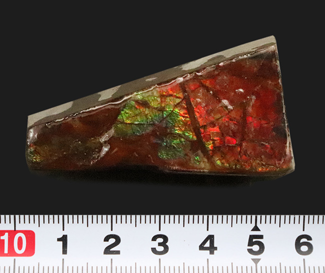 素晴らしいプレイオブカラーが楽しめる、化石と宝石の狭間に生まれた希少鉱物 … アンモライト（Ammolite）（その6）