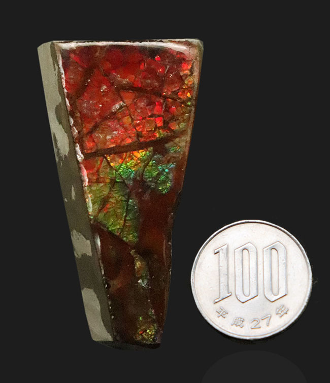 素晴らしいプレイオブカラーが楽しめる、化石と宝石の狭間に生まれた希少鉱物 … アンモライト（Ammolite）（その7）
