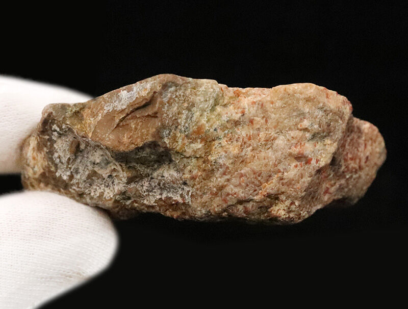 恐竜の骨は、なぜバラバラで見つかる？ジュラ紀の米国コロラド州からやってきた、恐竜の骨化石（Dinosaur bone）（その6）