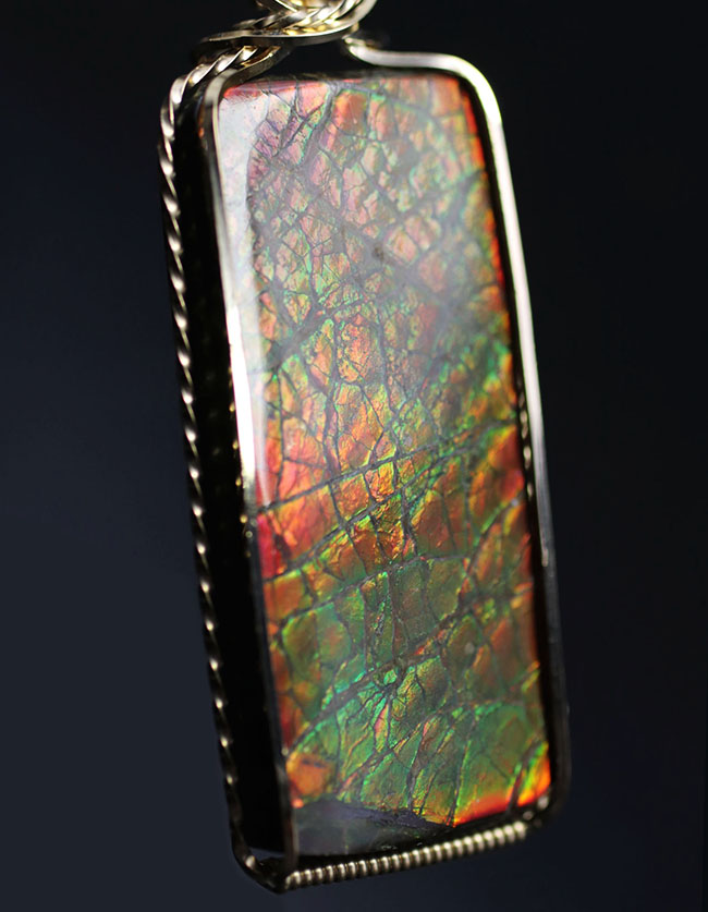 美しい竜のうろこ模様あり、47ミリの立派なアンモライト(Ammolite)を使ったペンダントトップ。金具は14金のゴールドフィル!チェーン、黒紐、ジュエリーケース付き。(その2)