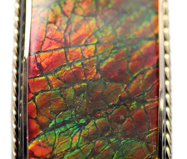 美しい竜のうろこ模様あり、47ミリの立派なアンモライト(Ammolite)を使ったペンダントトップ。金具は14金のゴールドフィル!チェーン、黒紐、ジュエリーケース付き。(その3)