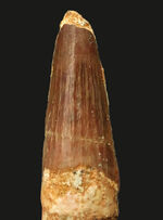 お客様の声　写真