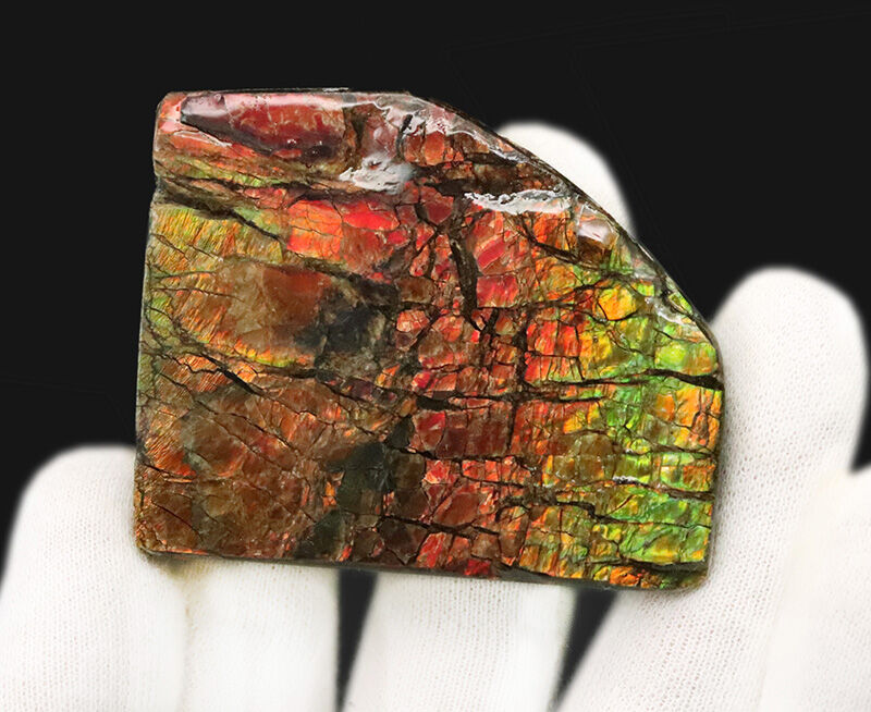 赤から緑へ煌めく遊色効果！カナダ産アンモライト（Ammolite）・高品質ピース（その2）