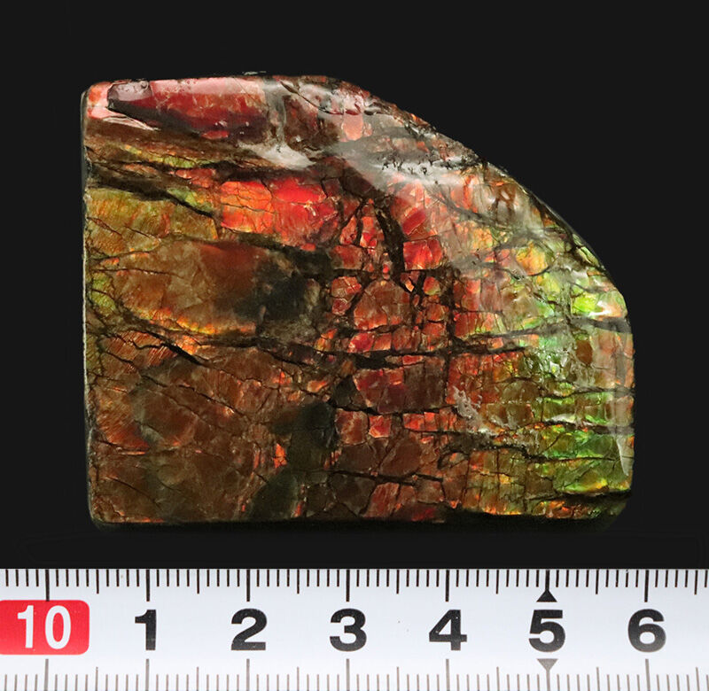 赤から緑へ煌めく遊色効果！カナダ産アンモライト（Ammolite）・高品質ピース（その8）
