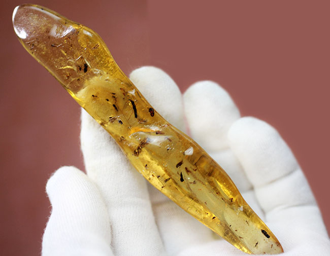 大小50匹以上の虫が内包された、マダガスカル産コーパル(Copal)(その10)