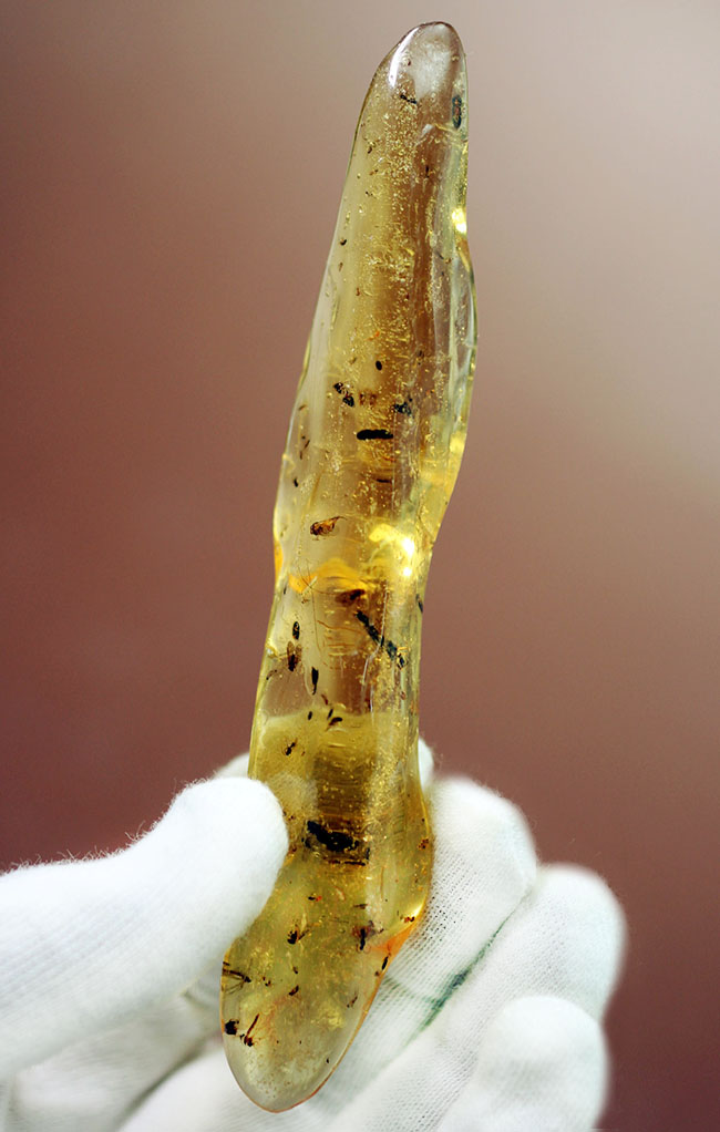 大小50匹以上の虫が内包された、マダガスカル産コーパル(Copal)(その2)