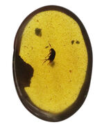 お客様の声　写真