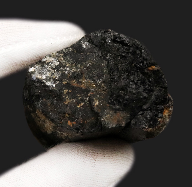 国内マニアックシリーズ!福島県石川郡で採集されたブラックトルマリン(Black tourmalin)の原石(その6)