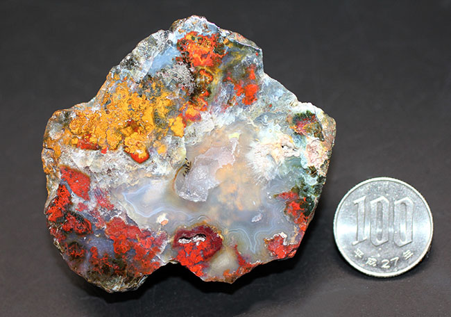 ハンガリーの特定地域でのみ採集される特殊なストロマトライト含有メノウ(Agate)(その10)