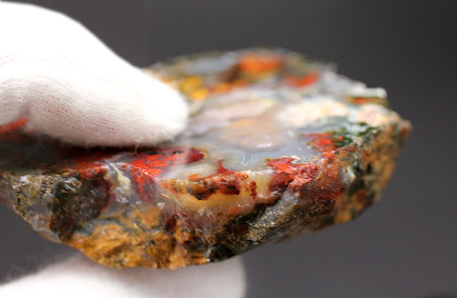 ハンガリーの特定地域でのみ採集される特殊なストロマトライト含有メノウ(Agate)(その6)