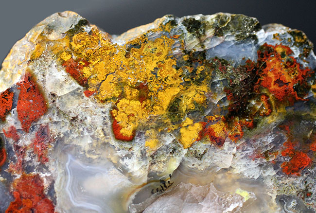 ハンガリーの特定地域でのみ採集される特殊なストロマトライト含有メノウ(Agate)(その7)