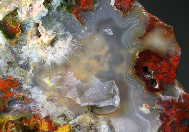 ハンガリーの特定地域でのみ採集される特殊なストロマトライト含有メノウ(Agate)(その8)
