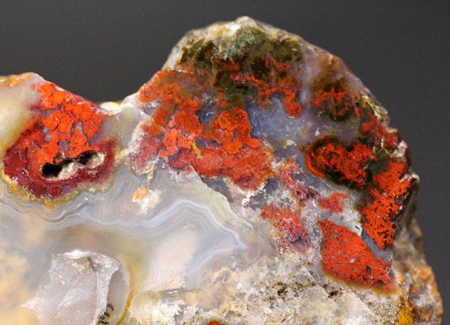 ハンガリーの特定地域でのみ採集される特殊なストロマトライト含有メノウ(Agate)(その9)
