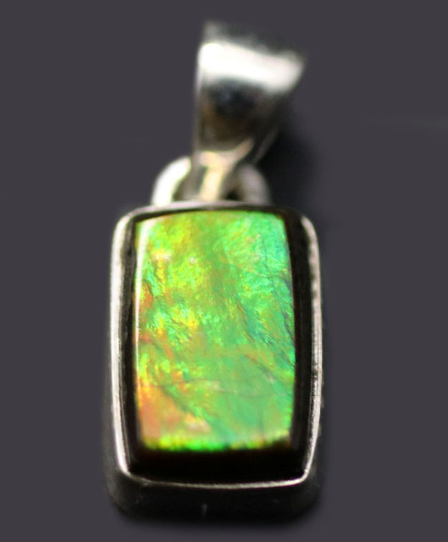 どんな装いにも似合うプチサイズ、生物起源の宝石、アンモライトを使ったペンダントトップ(Ammolite)。金具はスターリングシルバー。チェーン、革紐、ジュエリーケース付き(その9)