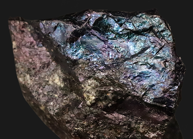 産状をそのまま残したナチュラルさが魅力。閉山した有名産地から採集された、コレクション性の高いボルナイト（斑銅鉱／Bornite）（その1）