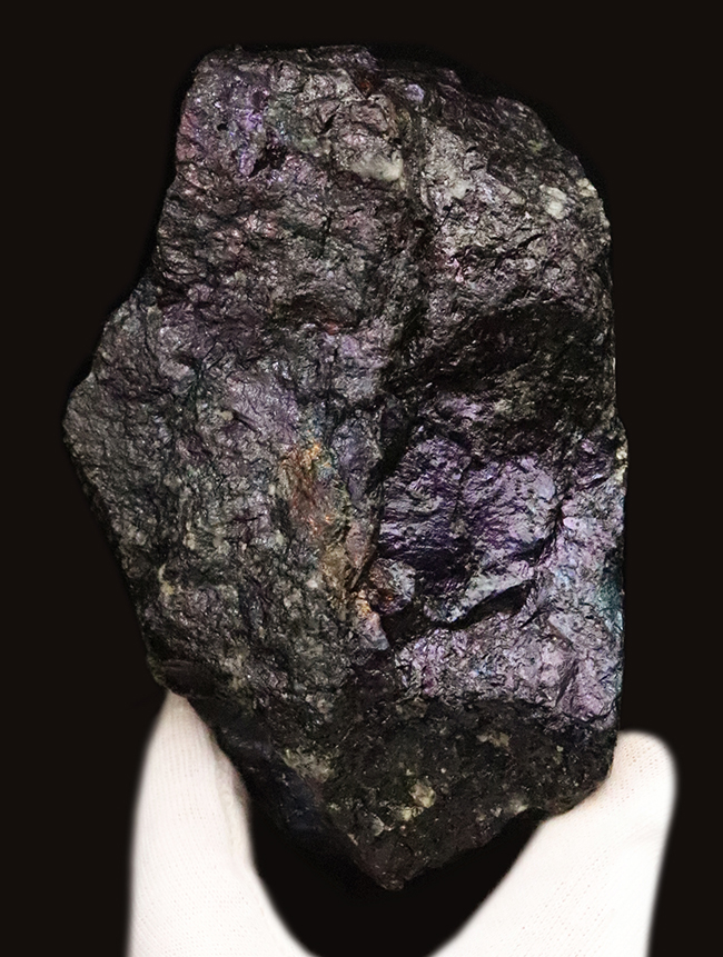 産状をそのまま残したナチュラルさが魅力。閉山した有名産地から採集された、コレクション性の高いボルナイト（斑銅鉱／Bornite）（その4）