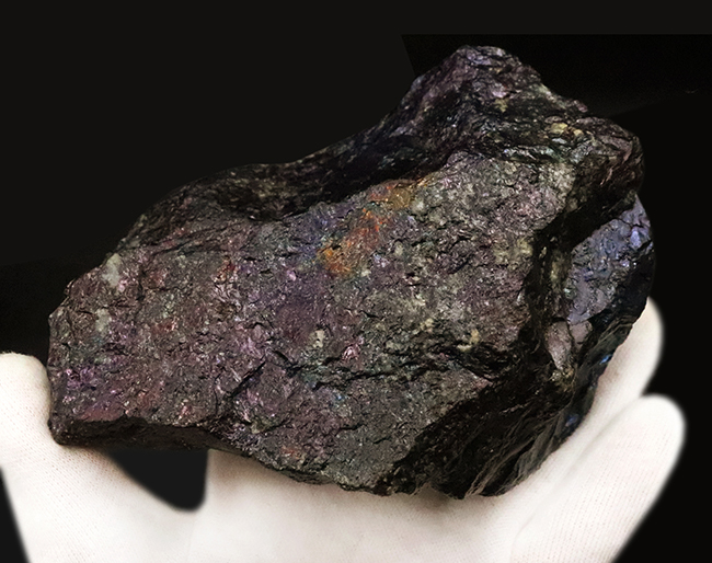 産状をそのまま残したナチュラルさが魅力。閉山した有名産地から採集された、コレクション性の高いボルナイト（斑銅鉱／Bornite）（その6）