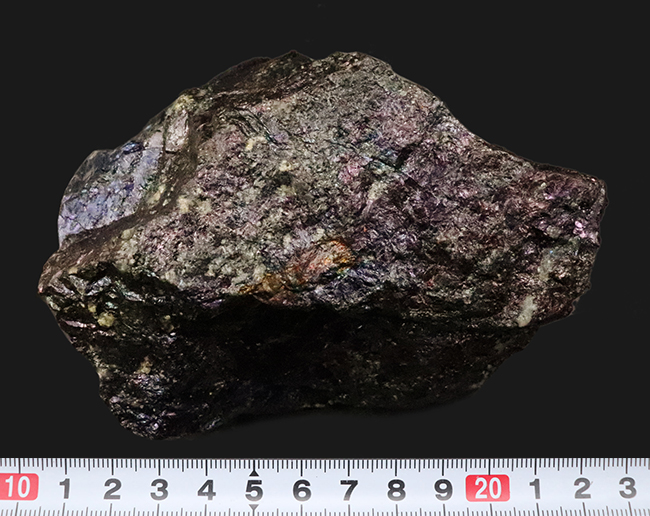 産状をそのまま残したナチュラルさが魅力。閉山した有名産地から採集された、コレクション性の高いボルナイト（斑銅鉱／Bornite）（その9）