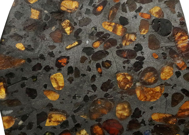 後方よりライトを浴びると煌々と輝くカンラン石にご注目、ケニア産の石鉄隕石、パラサイト（その3）