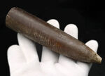 まさに鏃（やじり）の形！ドイツで採集された頭足類、ベレムナイト、シリンドロテウティス（Cylindroteuthis）の化石