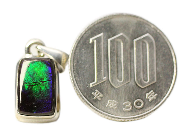 グリーンをブルーが包んだ美しいアンモライト(Ammolite)を使ったペンダントトップ。金具はスターリングシルバー。チェーン、黒紐、ジュエリーケース付き。(その8)