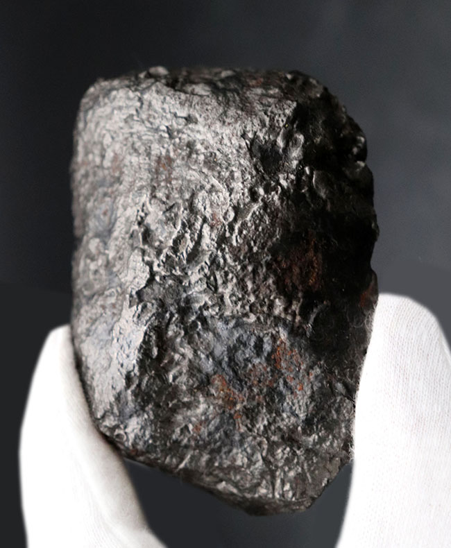 巨大＆ヘビー！６３０グラムオーバー！世界的に名の知られた鉄隕石、カンポ・デル・シエロ（Campo del Cielo）の巨大標本。特徴的な凹凸を御覧ください（その1）