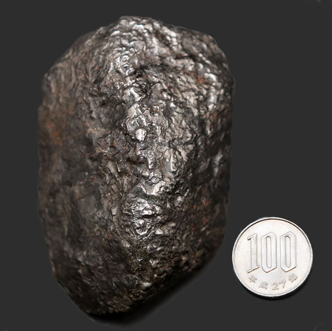 巨大＆ヘビー！６３０グラムオーバー！世界的に名の知られた鉄隕石、カンポ・デル・シエロ（Campo del Cielo）の巨大標本。特徴的な凹凸を御覧ください（その11）