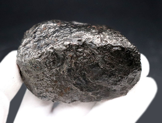 巨大＆ヘビー！６３０グラムオーバー！世界的に名の知られた鉄隕石、カンポ・デル・シエロ（Campo del Cielo）の巨大標本。特徴的な凹凸を御覧ください（その4）