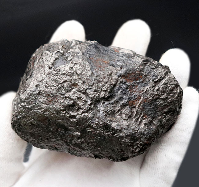 巨大＆ヘビー！６３０グラムオーバー！世界的に名の知られた鉄隕石、カンポ・デル・シエロ（Campo del Cielo）の巨大標本。特徴的な凹凸を御覧ください（その7）