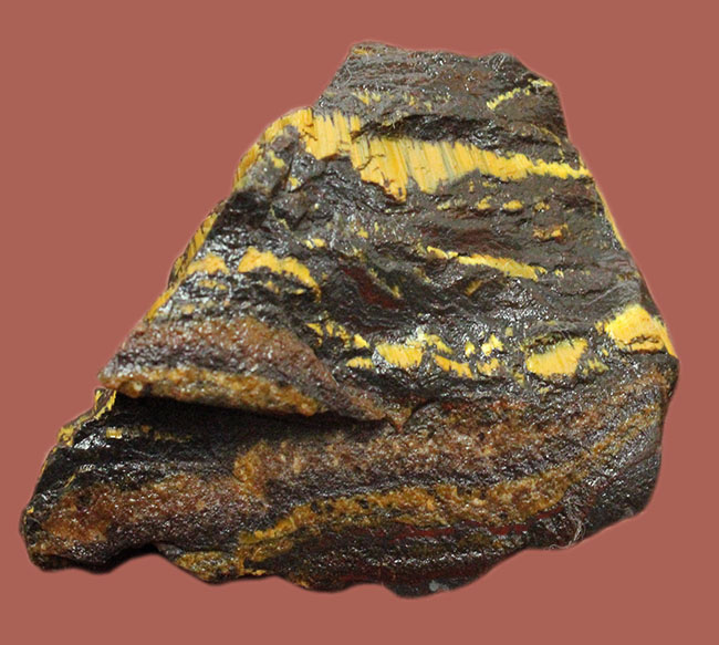 限りなく最古（３５億年前）に近いストロマトライト（Stromatolite）。地球に酸素を生み出したシアノバクテリアの痕跡。（その2）